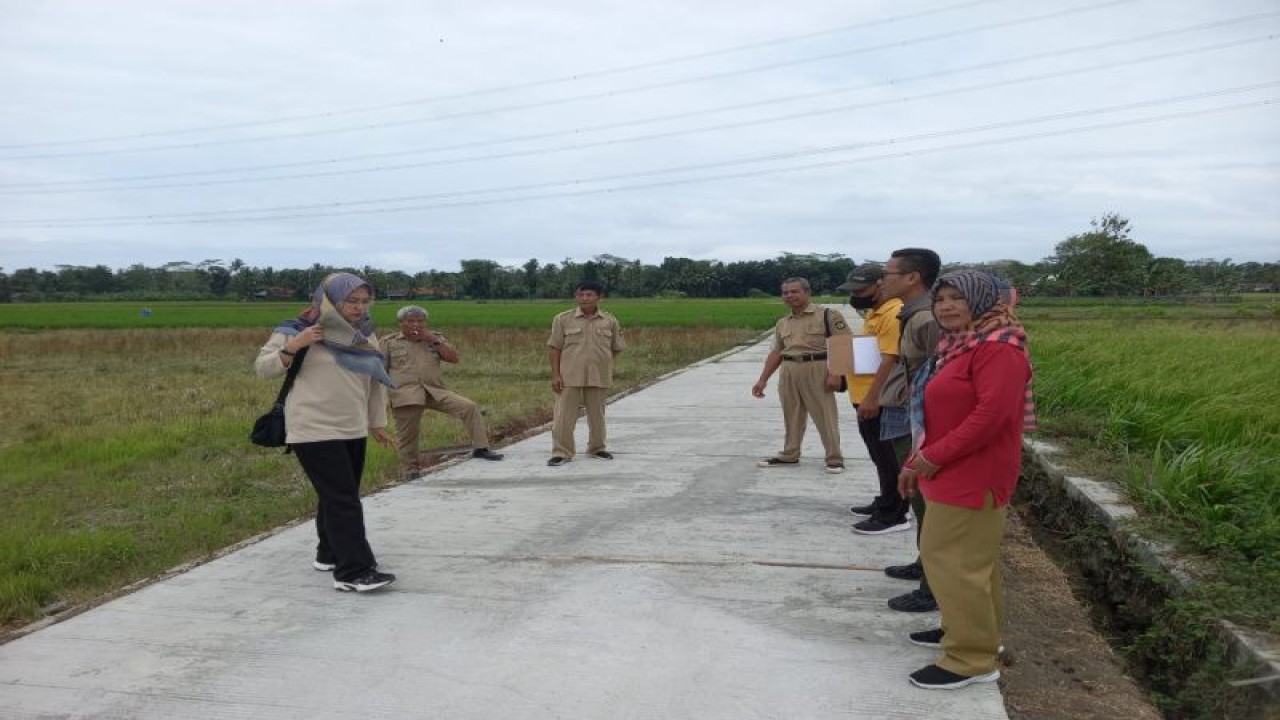 Jajaran Dinas Pertanian dan Pangan Kulon Progo meninjau lokasi pembangunan jalan usaha tani. ANTARA/HO-Dokumen Dinas Pertanian dan Pangan Kulon Progo