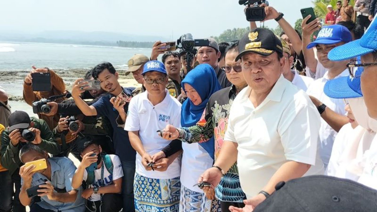 Suasana saat Gubernur Lampung dan rombongan melepaskan tukik di pantai. (ANTARA/Riadi Gunawan)