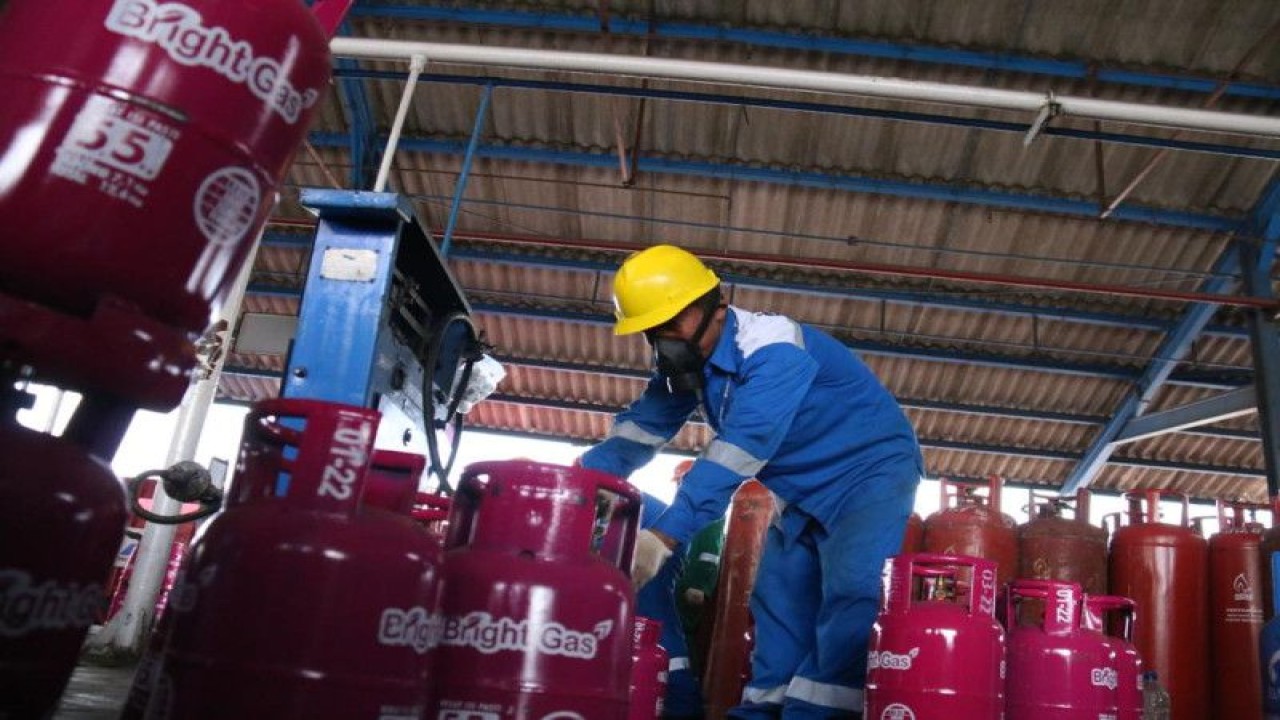 Petugas mengatur sejumlah tabung gas LPG nonsubsidi di salah satu Stasiun Pengisian dan Pengangkutan Bulk Elpiji (SPPBE) di Denpasar, Senin (26/6/2023) ANTARA/HO-Pertamina Patra Niaga Jatimbalinus