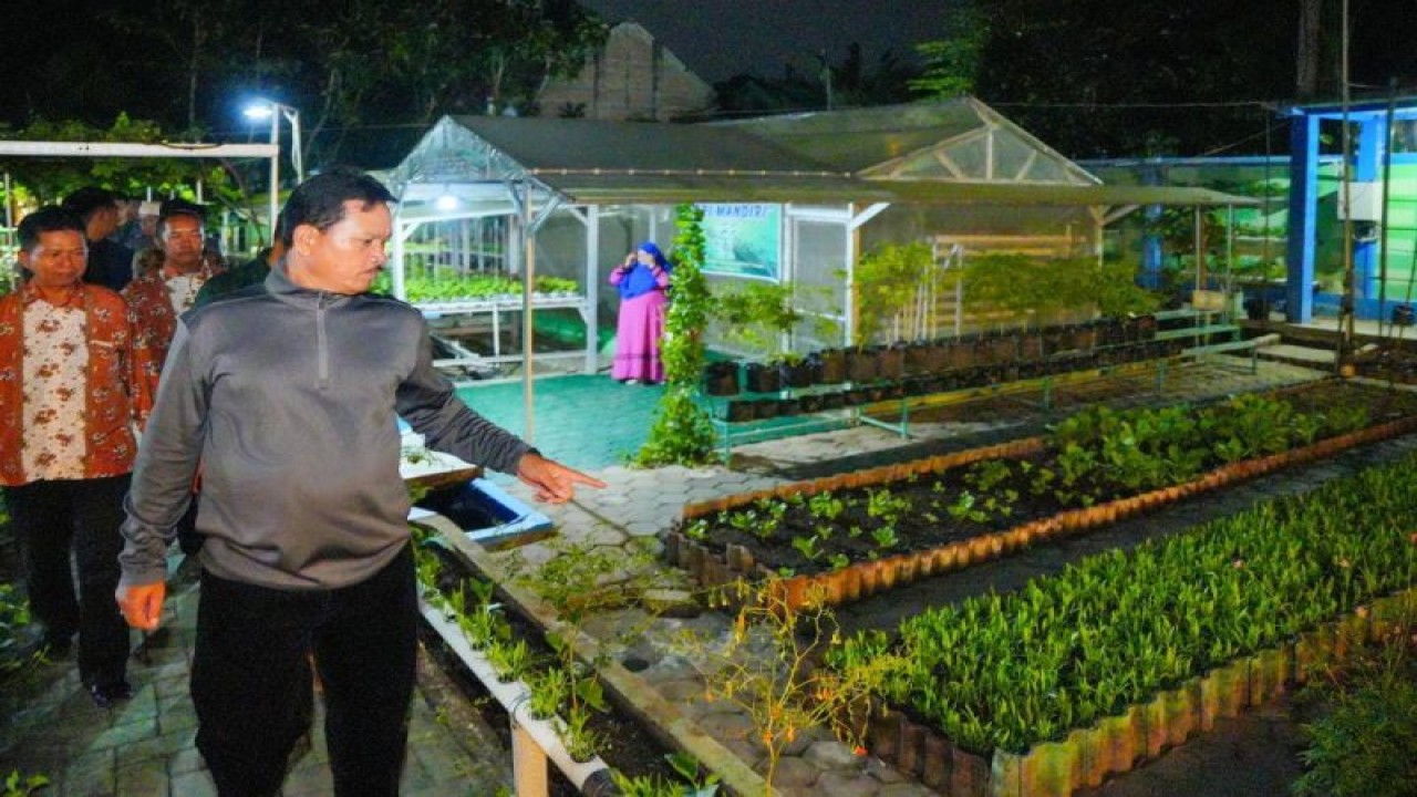 Wali Kota Maidi bersama jajaran terkait mengecek Kawasan Rumah Pangan Lestari (KRPL) di Jalan Pacar Sari, Kelurahan Manisrejo, Kecamatan Taman, Kota Madiun, Jatim, Senin (5/6/2023) malam. Kegiatan tersebut dilakukan sebagai upaya menjaga stok pangan daerah. ANTARA/HO-Diskominfo Kota Madiun