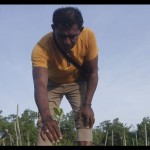 Mengenal Steven Mesah pencinta mangrove di selatan NKRI-1687254563