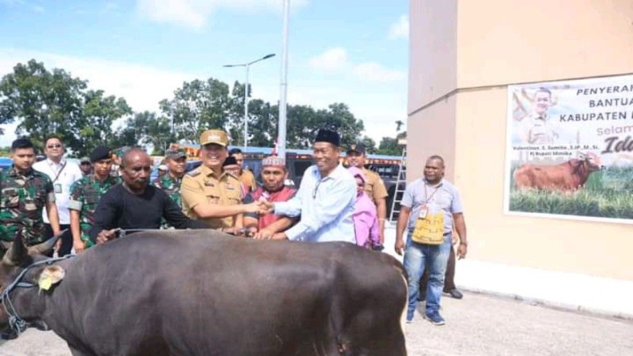 Penjabat Bupati Kabupaten Mimika, Provinsi Papua Tengah, Valentinus S. Sumito menyerahkan hewan kurban Idul Adha 1444 Hijriah di Mimika, Rabu (28/6/2023). (FOTO ANTARA/HO-Humas Pemkab Mimika)