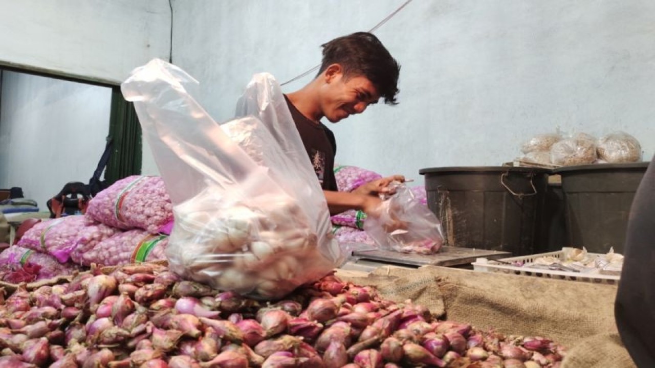 Pedagang bawang di salah satu pasar tradisional di Kota Bandarlampung, Lampung, tengah mempersiapkan dagangannya. ANTARA/Ruth Intan Sozometa Kanafi