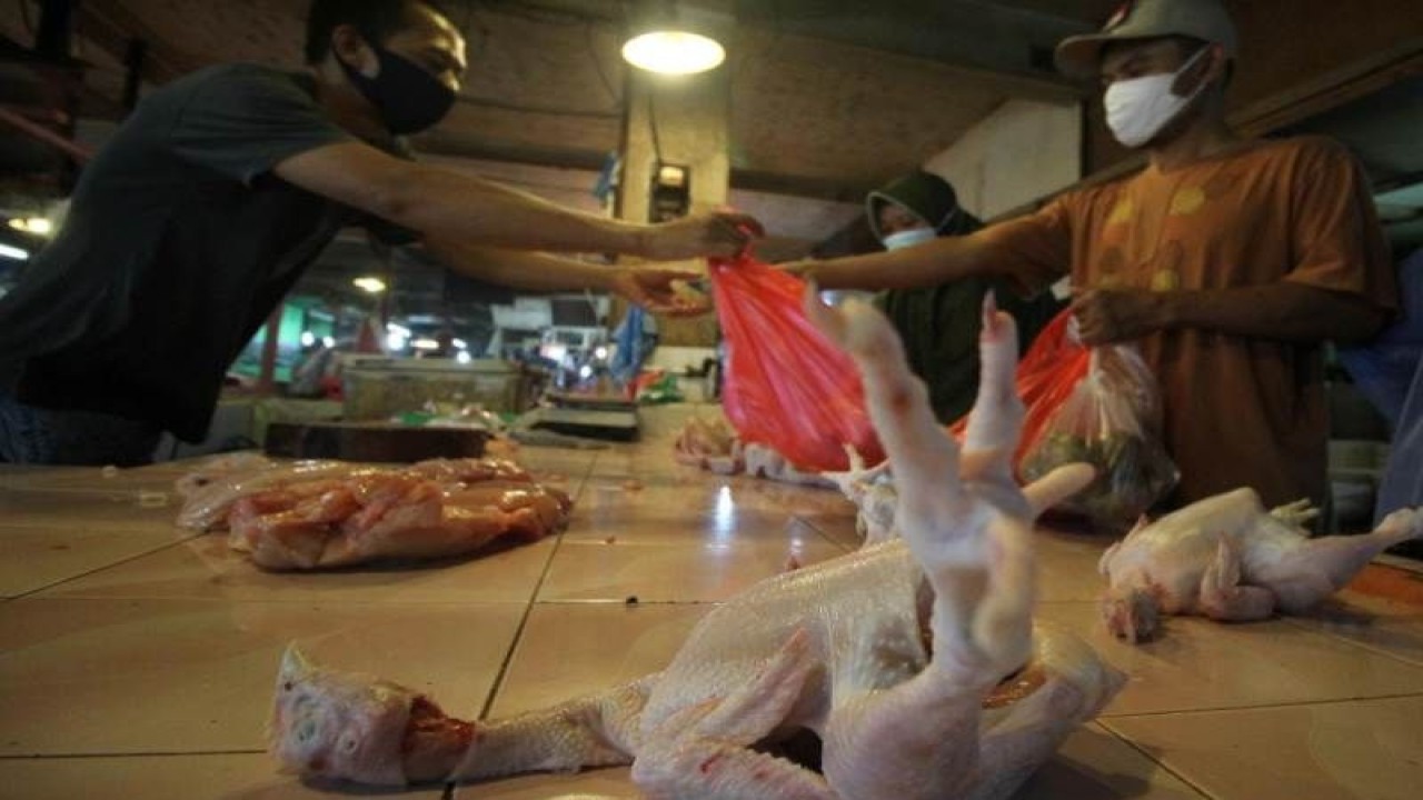 Pedagang ayam di Depok, Jawa Barat. (ANTARA/Foto: istimewa)