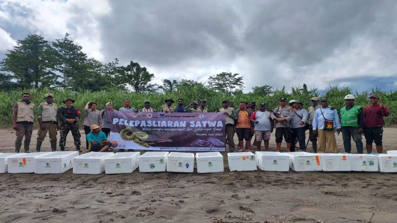 Pelepasliaran satwa dilindungi di Hutan Adat Kampung Nayaro, Kabupaten Mimika (ANTARA/HO-Humas BBKSDA Papua)