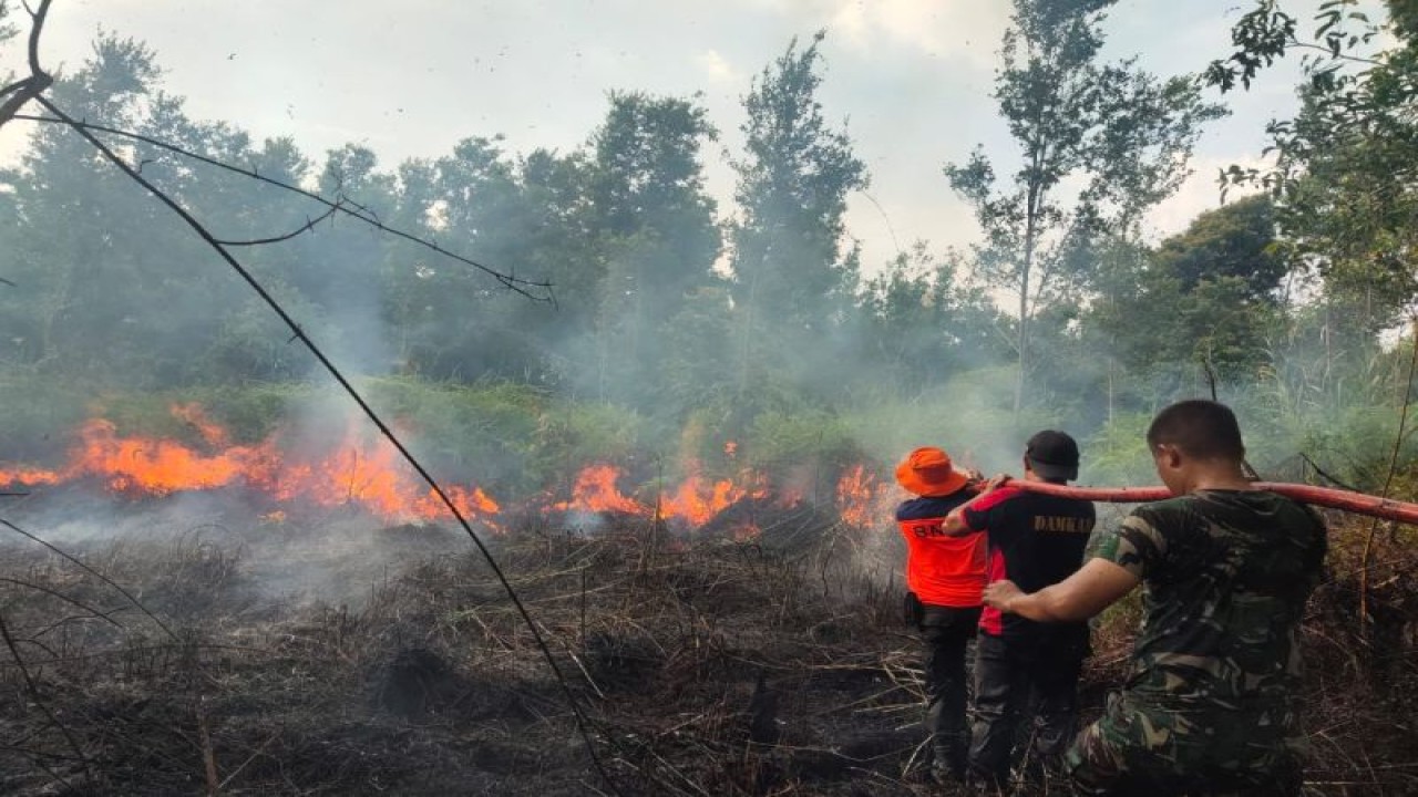 Pemadam kebakaran hutan dan lahan di Kabupaten Barito Selatan, Kalimantan Tengah, Jumat (2/6/2023).l (ANTARA/HO-BNPB)