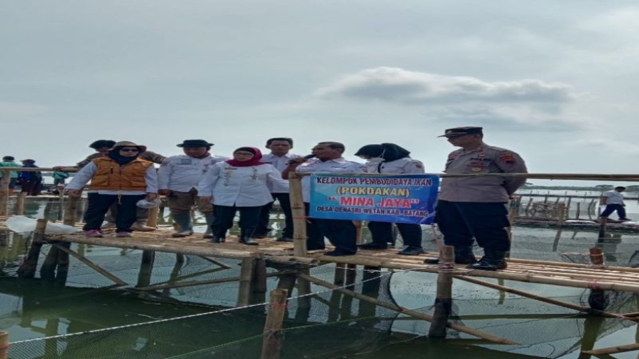 Penjabat BupatI Batang Lani Dwi Rejeki didampingi Kepala Dinas Kelautan dan Perikanan Kabupaten Batang Windu Suriaji menebar benih ikan di bekas lahan pertanian yang kini dialihfungsikan menjadi lahan tambak. (ANTARA/HO-Humas Kabupaten Batang)