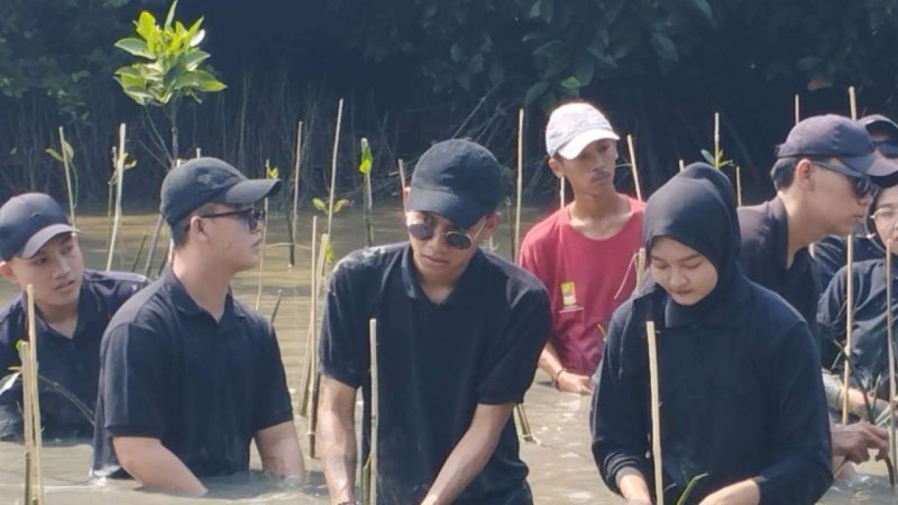Abang-Mpok Kabupaten Bekasi Angkatan 2022 menanam bibit pohon bakau di wilayah pesisir Kampung Beting, Desa Pantai Bahagia, Kecamatan Muaragembong, Selasa (6/6/2023). (ANTARA/Pradita Kurniawan Syah).
