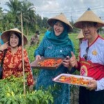 Pemkab Kobar-TP PKK kolaborasi pemanfaatan lahan kosong jadi produktif-1686047557