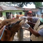 Pemkab Magelang-1687172430