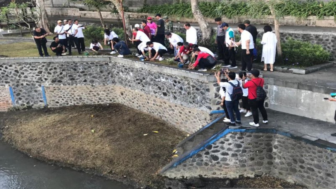 Pemkot Denpasar bersama pengelola mal Living World melaksanakan pembersihan lingkungan, penanaman pohon, dan penebaran benih ikan di aliran Sungai Ayung di area Bendungan Oongan, Kota Denpasar, Provinsi Bali, Jumat (9/6/2023). (ANTARA/Dewa Ketut Sudiarta Wiguna)