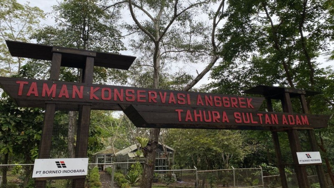 Taman Konservasi Anggrek di Taman Hutan Raya (Tahura) Sultan Adam, di Kabupaten Banjar, Kalimantan Selatan, Rabu (21/6/2023). (ANTARA/Tumpal Andani Aritonang)