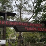 Pemprov Kalsel konservasi ratusan anggrek spesies di Tahura-1687343869