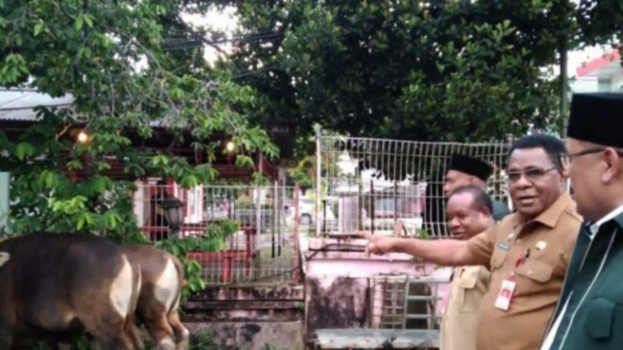 Penjabat Gubernur Papua Barat Daya Muhammad Musa'ad menyerahkan 75 sapi kurban kepada seluruh masjid yang tersebar di Sorong Raya, Senin (19/6/2023). (ANTARA/Yuvensius Lasa Banafanu)