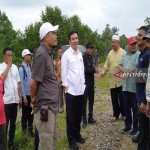 Pengamat: Maksimalkan KEK untuk tingkatkan ekspor Sumut ke ASEAN-1686902621