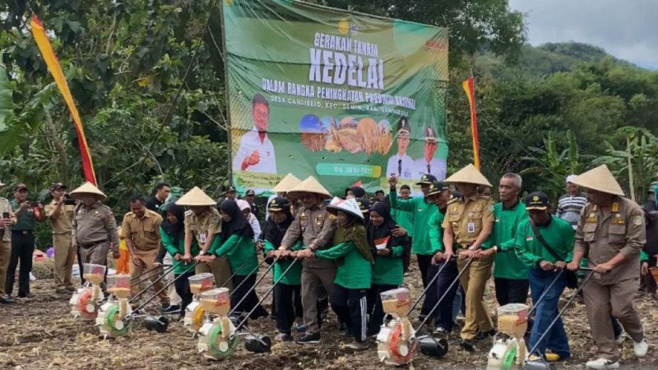 Menteri Pertanian Syahrul Yasin Limpo bersama Bupati Gunungkidul Sunaryanta menanam kedelai di Candirejo pada Selasa (6/6). (ANTARA/Sutarmi)