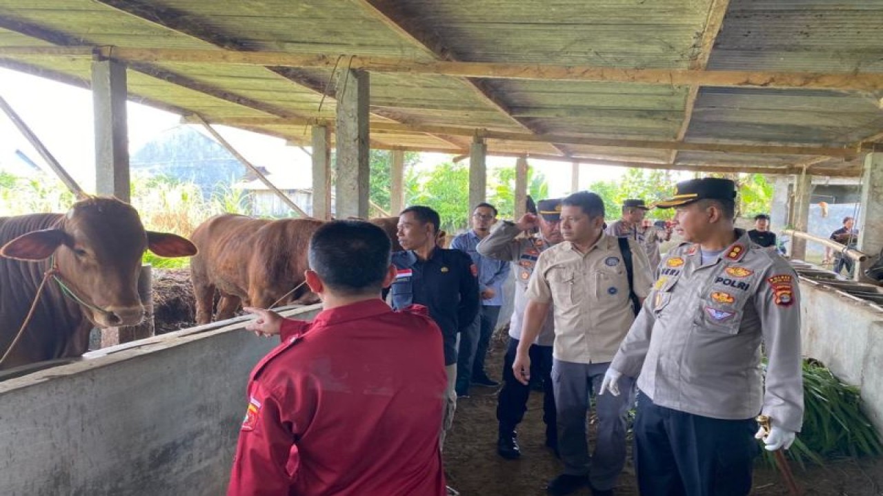 Petugas sidak di kandang ternak di Lampung Barat. (ANTARA/HO)