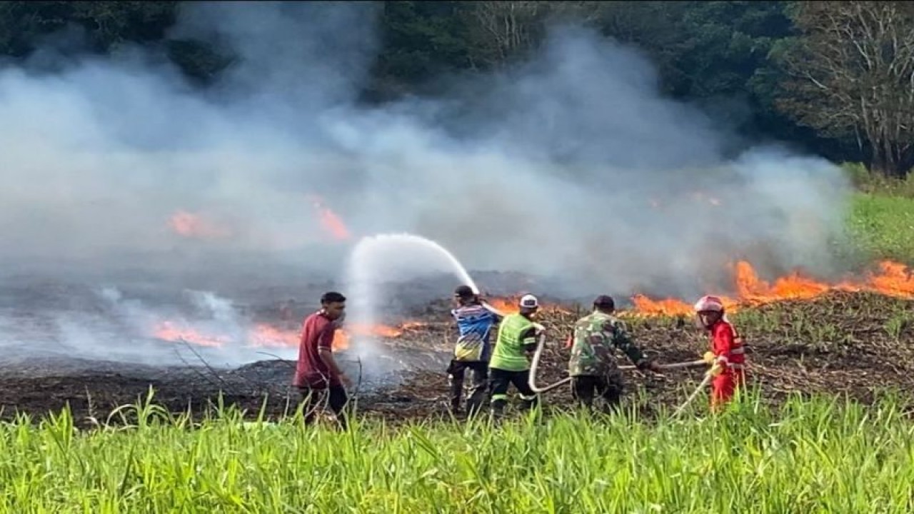 Dokumentasi. Petugas pemadam kebakaran melakukan pemadaman dan pembasahan lahan di Palangka Raya, beberapa waktu lalu. (ANTARA/HO-BPBD Palangka Raya)