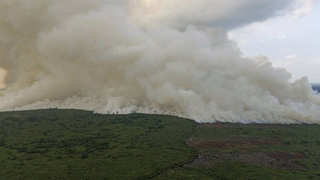 Petugas gabungan padamkan karhutla di empat daerah di Riau. (dok. Antara.)