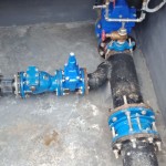 Pipa-1686826101