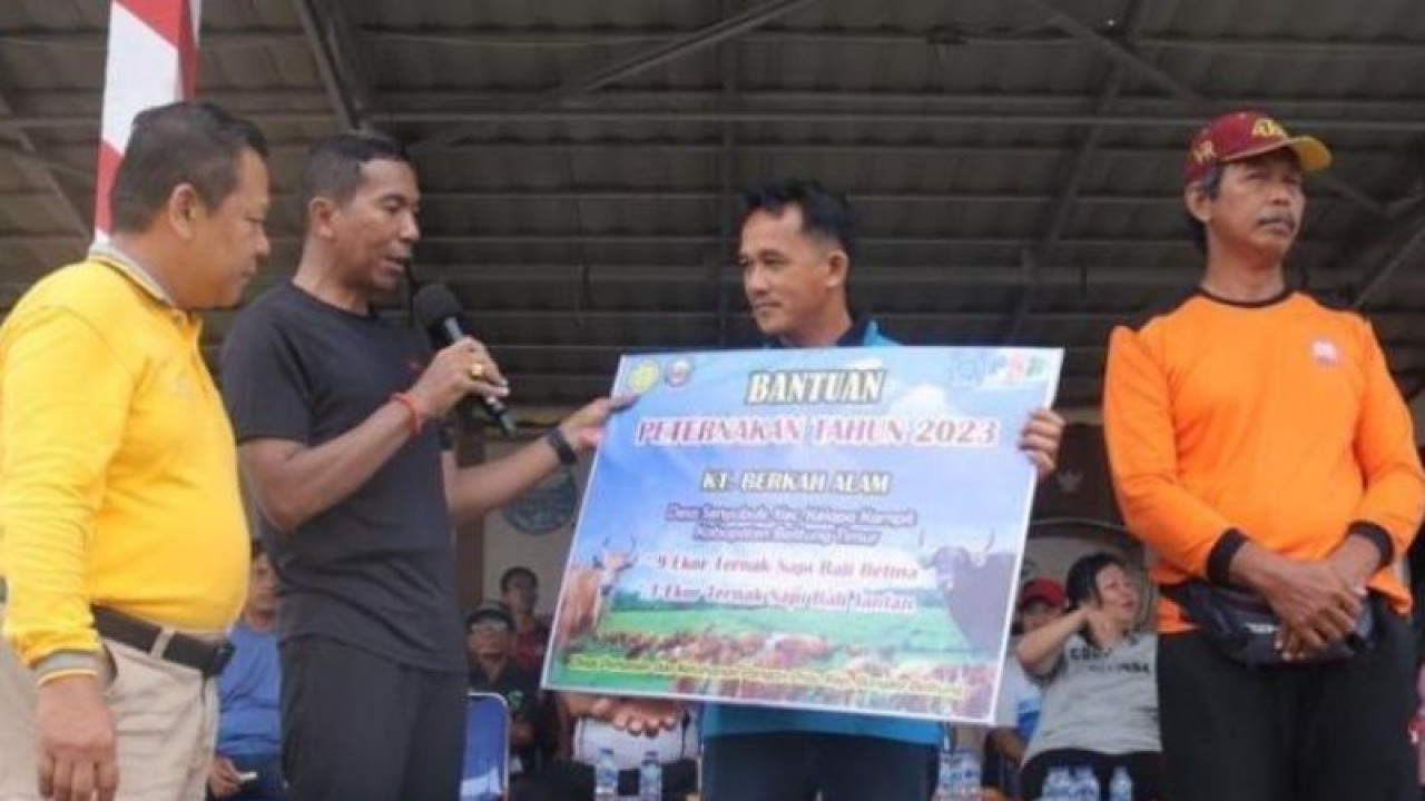 Penjabat Gubernur Kepulauan Bangka Belitung Suganda Pandapotan Pasaribu secara simbolis menyerahkan bantuan 20 ekor sapi kepada kelompok ternak di Belitung Timur, Rabu. (ANTARA/ HO-Humas Diskominfo Babel)