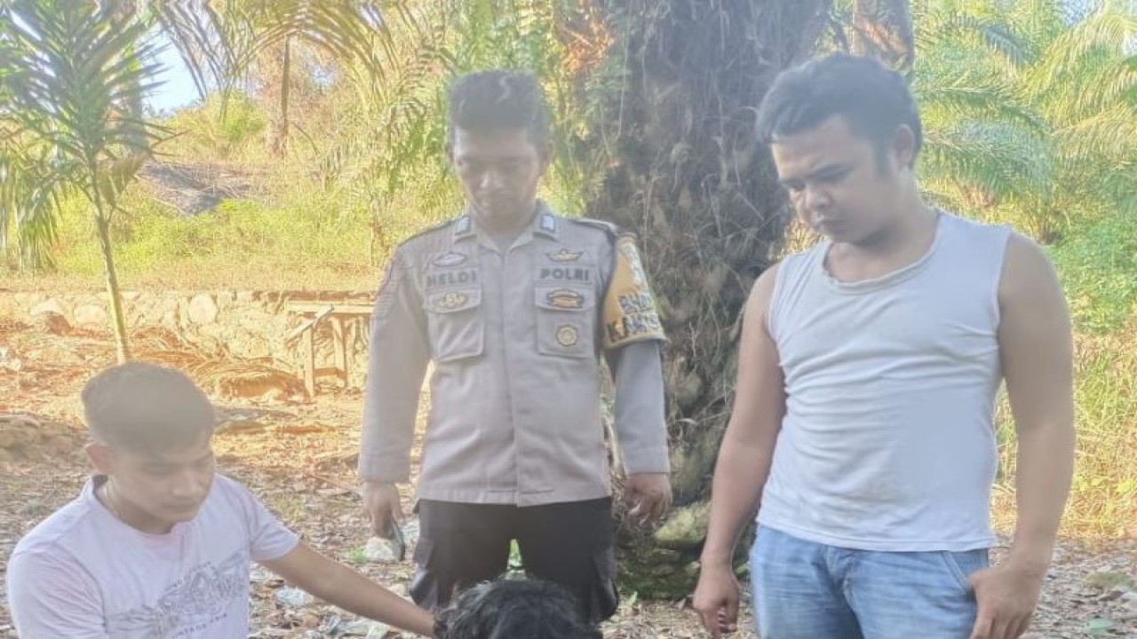 Jajaran Polsek Sungai Beremas Polres Pasaman Barat saat menangkap salah satu bandar narkotika jenis sabu di Sungai Beremas. Di hari yang sama dua orang bandar berhasil ditangkap.