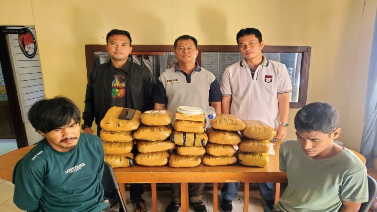 Satresnarkoba Polresta Bukittinggi menunjukkan barang bukti ganja 19 kilogram dari dua tersangka yang berhasil ditangkap. Antara/Altas Maulana.