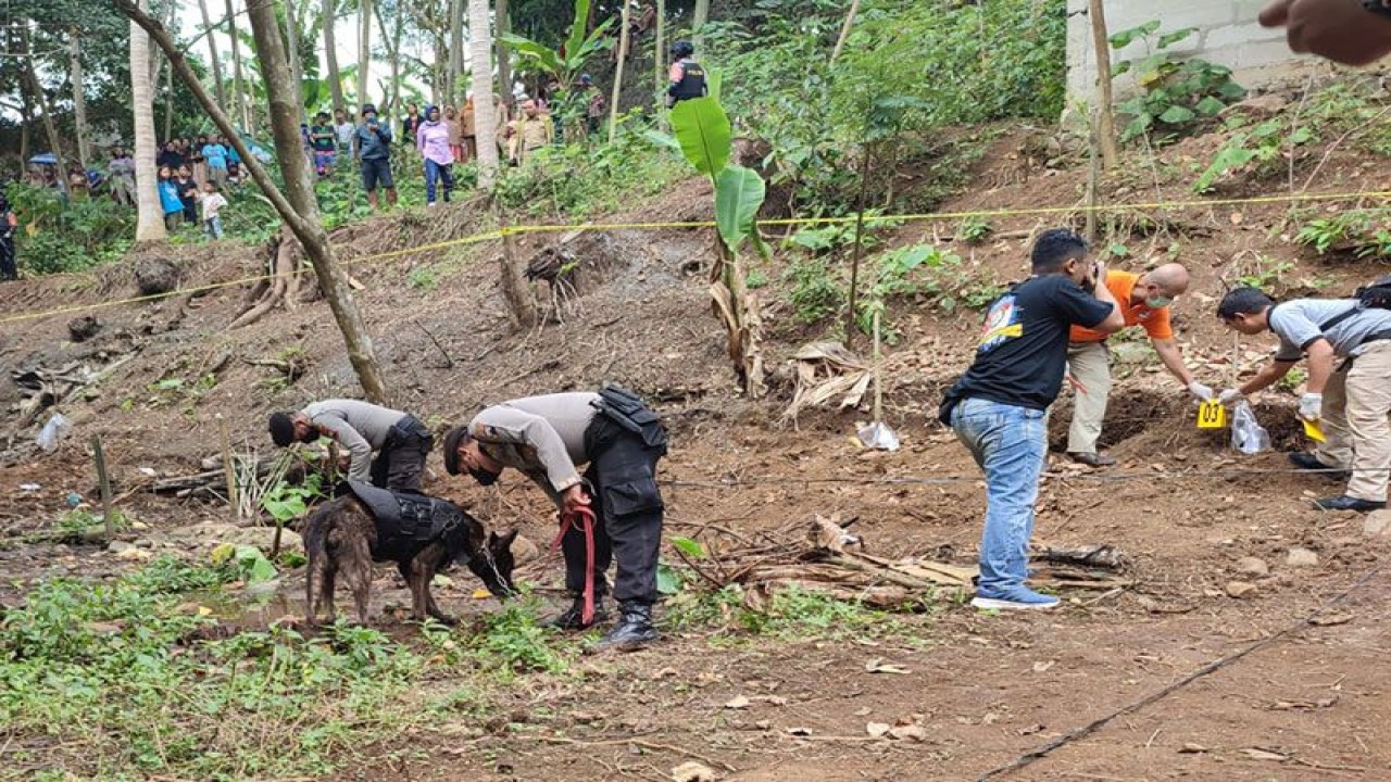 Petugas Polresta Banyumas menyisir kembali lokasi penemuan empat kerangka bayi di lahan bekas kolam tepi Sungai Banjaran, Kelurahan Tanjung, Kecamatan Purwokerto Selatan, Kabupaten Banyumas, Senin (26/6/2023) siang, untuk mencari tiga kerangka bayi lainnya. ANTARA/HO-PWI Banyumas
