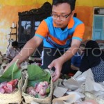 PP Aisyiyah serukan perayaan Idul Adha yang ramah lingkungan-1687341044