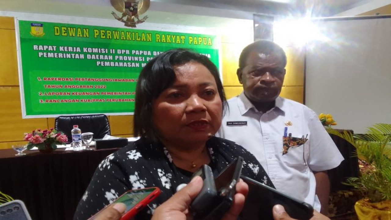 Ketua Komisi II Dewan Perwakilan Rakyat Papua Mega Nikijuluw (ANTARA/HO-Dokumen pribadi)