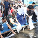 Ribuan benih ikan ditebar untuk pulihkan ekosistem sungai di Jember-1686301114