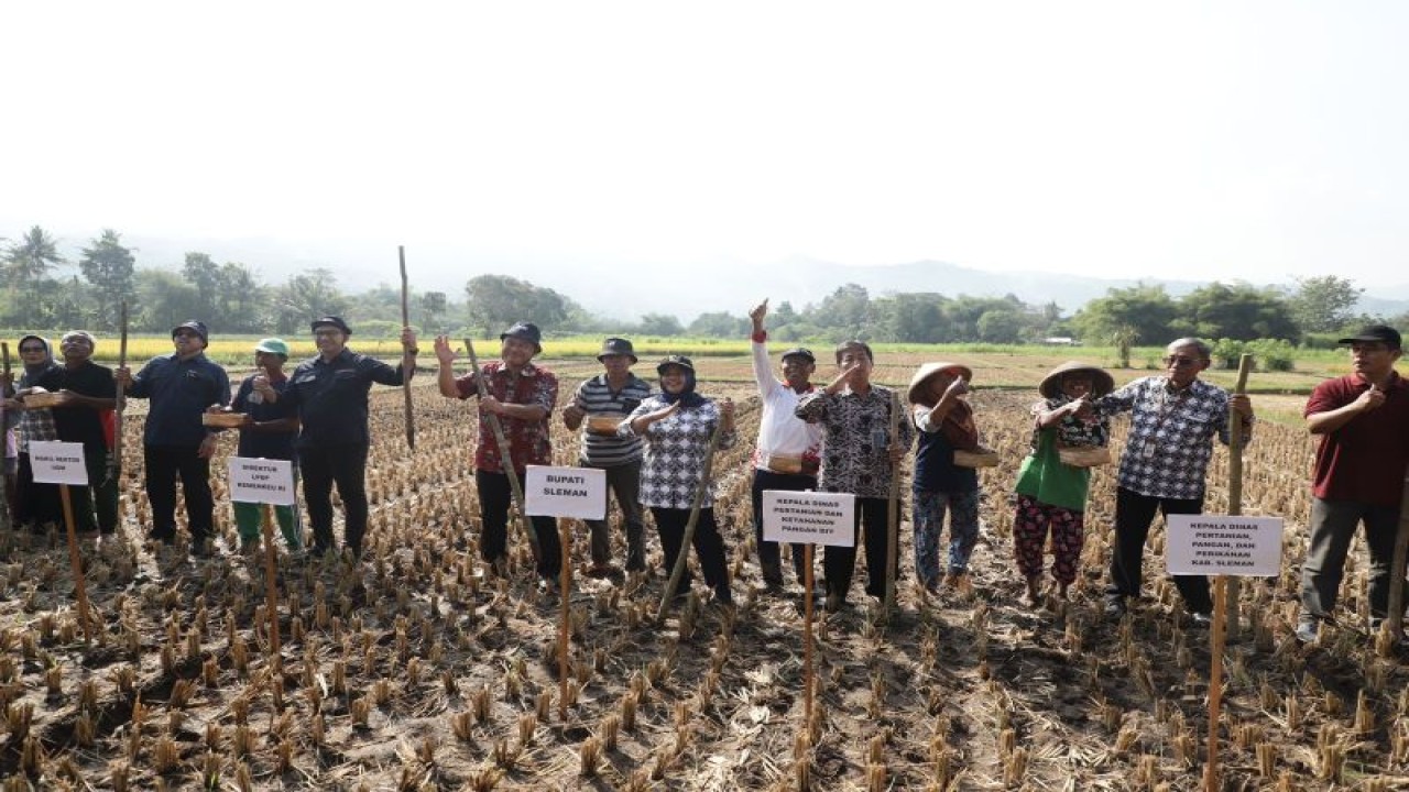 Bupati Sleman Kustini Sri Purnomo bersama Direktur Fasilitas Riset dan Rehabilitasi Pendidikan LPDP Wisnu Sardjono, Kepala Dinas Pertanian dan Ketahanan Pangan DIY Sugeng Purwanto dan Wakil Rektor UGM Bidang Penelitian, Pengembangan Usaha, dan Kerja Ignatius Susatyo Wijoyo melakukan Gerakan Tanam Kedelai 2023 di Bulak Kelompok Tani Sido Mulyo, Madurejo, Prambanan, Jumat (16/6/2023). ANTARA/HO-Bagian Prokopim Setda Sleman