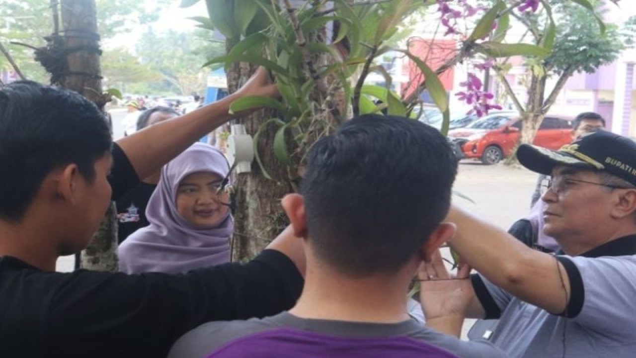 Penanaman anggrek di RSUD Brigjend H. Hasan Basry Kandangan sebagai pusat konservasi anggrek di Kandangan, Hulu Sungai Selatan, Kalimantan Selatan, Jumat ( 2/6/2023). (ANTARA/HO-Diskominfo Hulu Sungai Selatan)