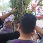 RSUD Kandangan-PAI HSS tanam 2.000 bibit anggrek spesies Meratus-1685954586