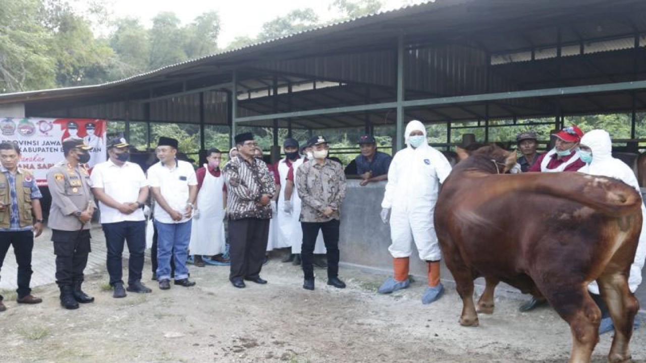 Dokumen - Pemeriksaan kesehatan hewan di Kabupaten Bangkalan, Jawa Timur. (ANTARA/HO-Kominfo Bangkalan)
