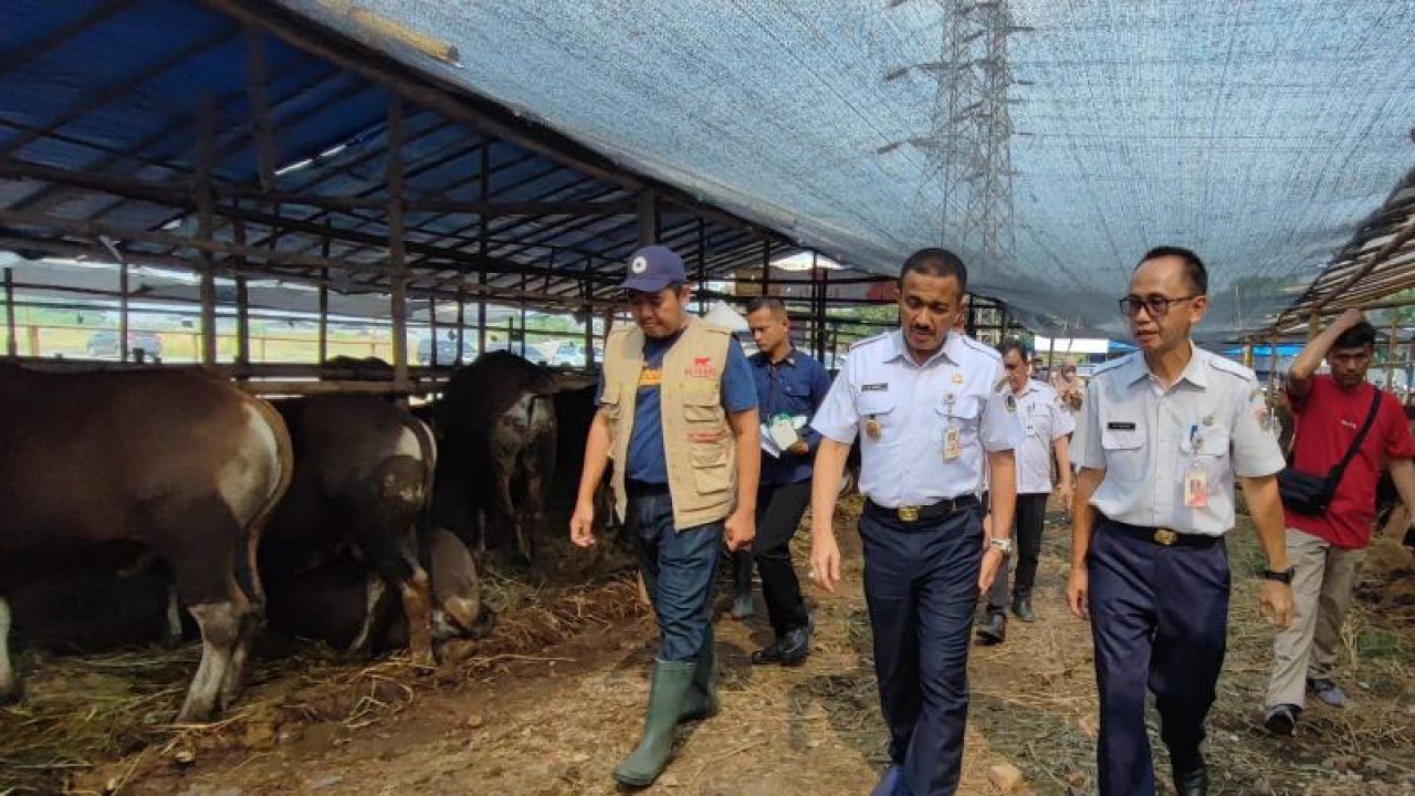 Wali Kota Administrasi Jakarta Timur Muhammad Anwar bersama Kepala Sudin KPKP Jaktim Ali Nurdin saat meninjau pedagang sapi di Pulogebang, Kecamatan Cakung, Jakarta Timur, Rabu (21/6/2023). ANTARA/Syaiful Hakim