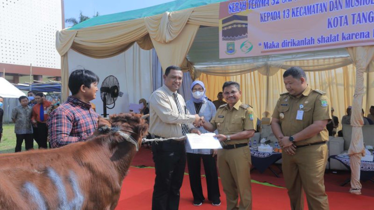 Wakil Wali Kota Tangerang, Sachrudin menerima secara simbolis sapi dari RSUP dr Sitanala yang diserahkan oleh Direktur Utama RSUP Dr. Sitanala, Afrizal Hasan, Selasa di Lapangan RSUP Dr. Sitanala, Kecamatan Neglasari. RSUP Dr. Sitanala memberikan 32 ekor sapi kepada Pemkot Tangerang yang kemudian disalurkan lagi ke masjid/mushola yang tak memiliki kegiatan pemotongan hewan kurban. ANTARA/Irfan