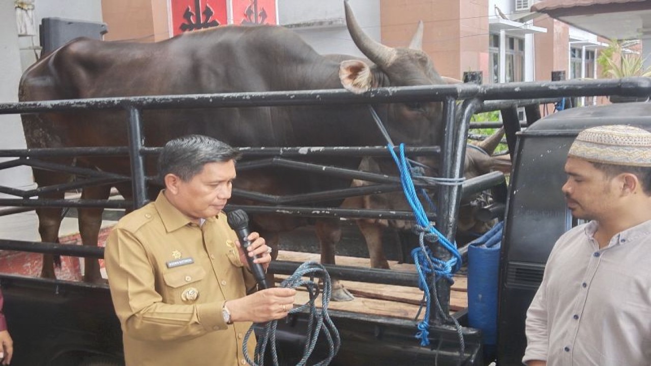 Penjabat Wali Kota Ambon Bodewin Wattimena menyerahkan hewan kurban kepada penerima di Balai Kota Ambon, Selasa (27/6/2023). ANTARA/ Penina F. Mayaut