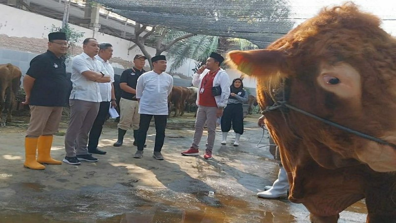 Wali Kota Surabaya Eri Cahyadi ditemani Dirut RPH Fajar Arifianto Isnugroho saat mengecek hewan kurban di kandang RPH di Jalan Pegirikan 258 Surabaya pada Selasa (27/6). (ANTARA/HO-RPH Surabaya)