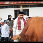 Sapi-1687953624