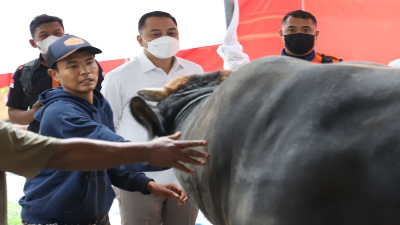 Wali Kota Surabaya Eri Cahyadi meninjau hewan kurban di Kota Surabaya, Selasa (27/6/2023). (ANTARA/HO-Diskominfo Surabaya)