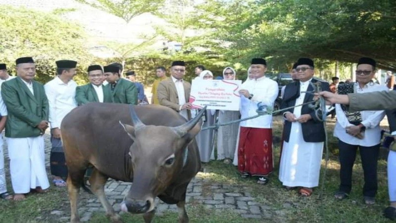 Penjabat Gubernur Sulbar Zudan Arif Fakhrullah bersama ASN lingkup Pemprov Sulbar berkurban 20 ekor sapi pada Idul Adha 1444 hijriah untuk dibagikan kepada masyarakat tidak mampu di Mamuju, Kamis (29/6/2023) FOTO ANTARA/M Faisal Hanapi