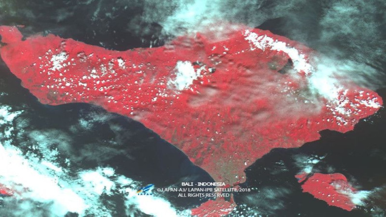 Hasil spacecam multispectral RGB Nir dari Satelit Lapan-A3 untuk memantau vegetasi Pulau Bali. Warna merah mengindikasikan adanya vegetasi. (ANTARA/HO-BRIN)