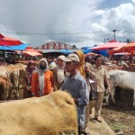 Solok-1687943589