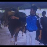 Sumbar-1686025969