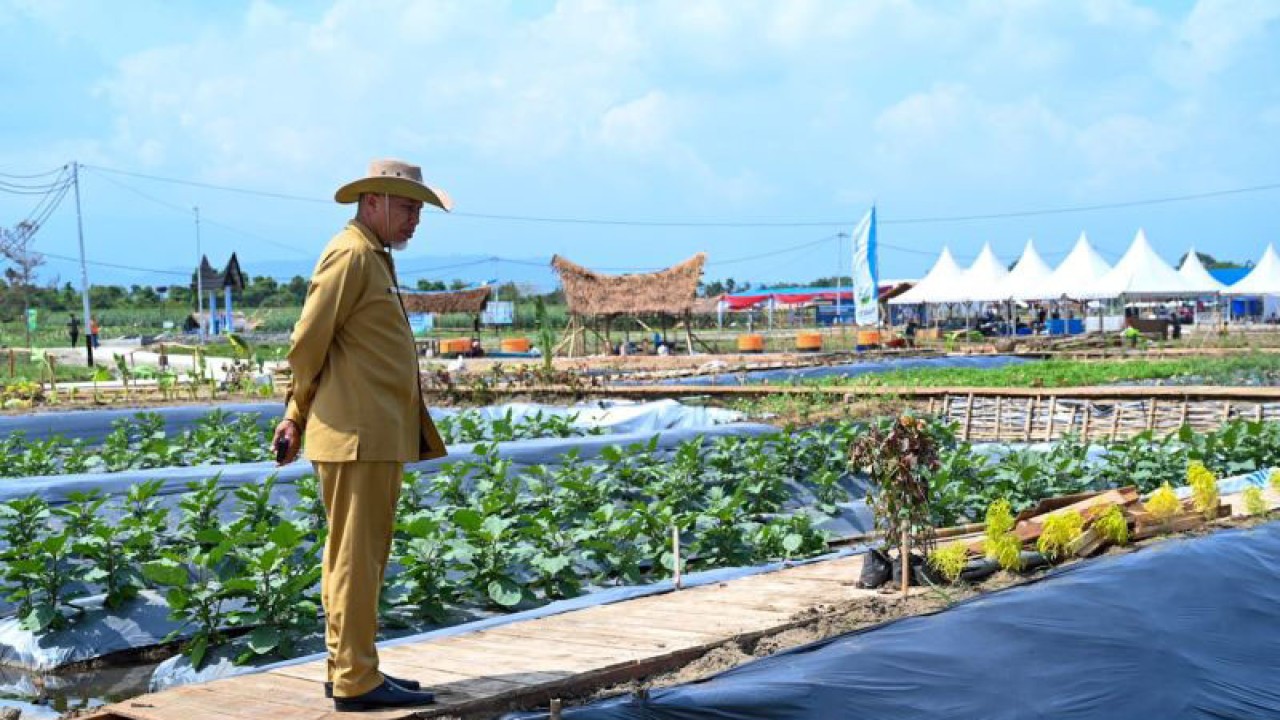 Gubernur Sumbar, Mahyeldi tinjau venue Penas Tani XVI. (ANTARA/Dok Adpim Sumbar)