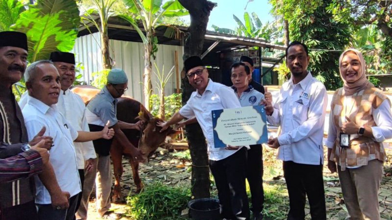 Direktur Keuangan dan SDM TMII Syafruddin M Adam menyerahkan secara simbolis hewan kurban sapi jenis limosin kepada Panitia Hewan Kurban Masjid Sunan Kalijaga, Bambu Apus, Jakarta Timur, Rabu (28/6/2023). ANTARA/Syaiful Hakim