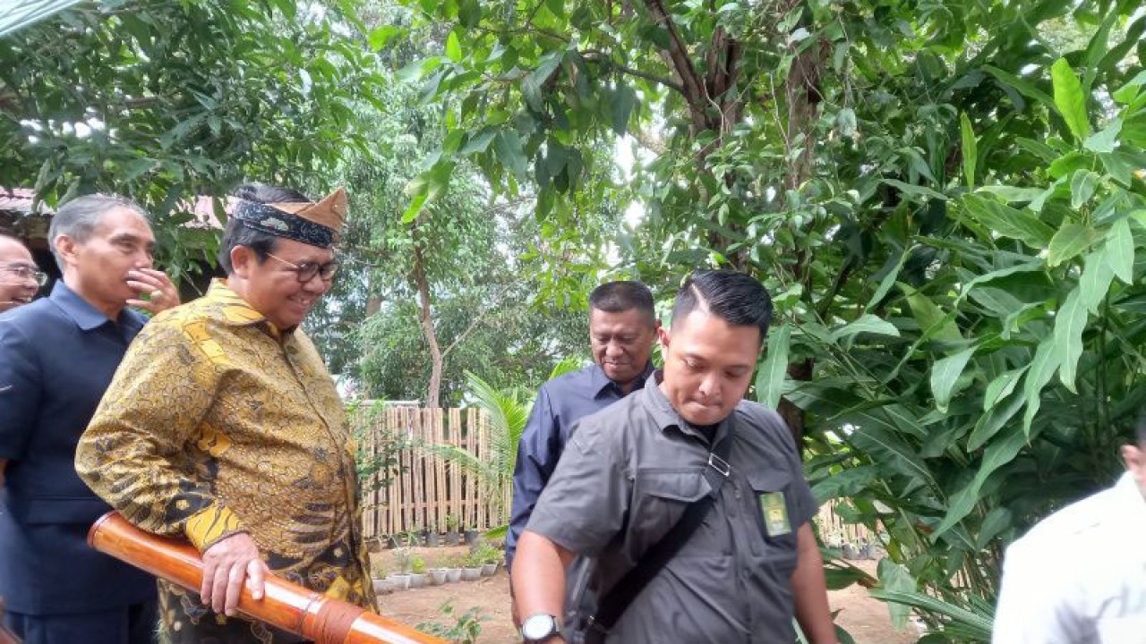 Ketua Mahkamah Agung (MA) RI Syarifuddin saat meninjau kebun milik Pengadilan Negeri Bengkulu. ANTARA/Anggi Mayasari