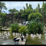 Taman margasatwa ragunan-1687930227