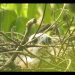 Taman Nasional-1686819147